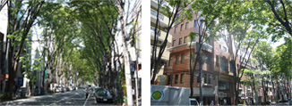阿佐ヶ谷・新東京會舘5階